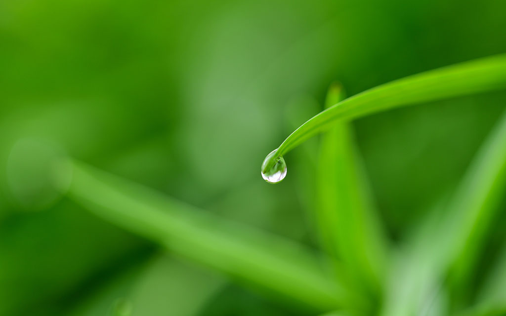 除湿も加湿もこれ一台